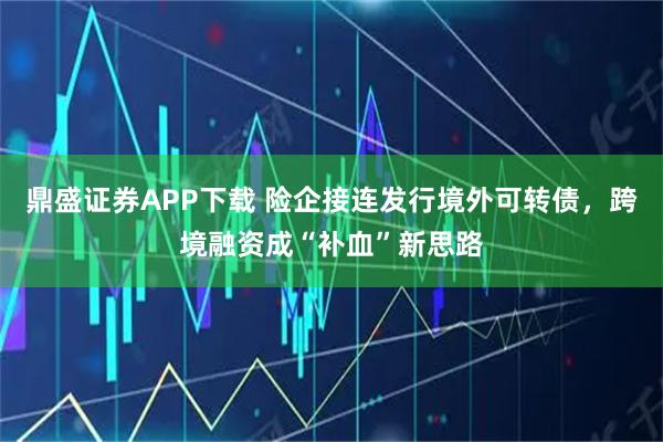 鼎盛证券APP下载 险企接连发行境外可转债，跨境融资成“补血”新思路